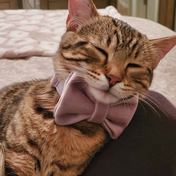 Meet your Posher, Jffhappilyinlove - Picture 5 of 5